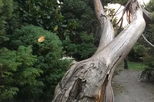  &copy;&nbsp;Фото Юга.ру