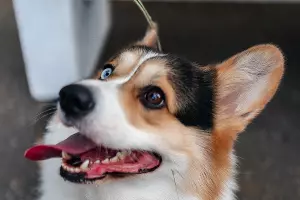  &copy;&nbsp;Фото Витории Сигачевой