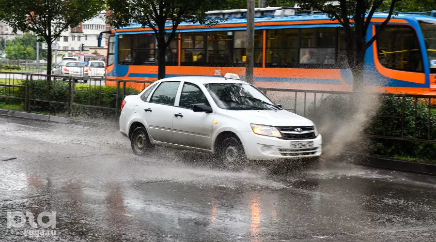  &copy;&nbsp;Фото Елены Синеок, Юга.ру