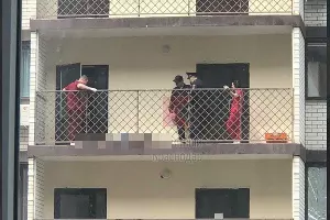  &copy;&nbsp;Кадр из видео телеграм-канала &laquo;Типичный Краснодар&raquo;, t.me/krd_tipich_ru