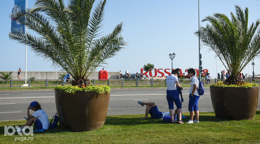  © Фото Елены Синеок, Юга.ру