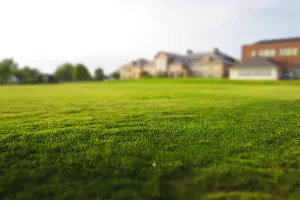  &copy;&nbsp;Фото Free Nature Stock, pexels.com