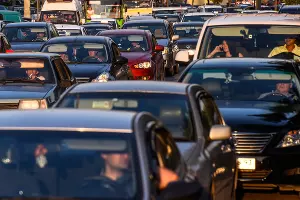  &copy;&nbsp;Фото Елены Синеок, Юга.ру