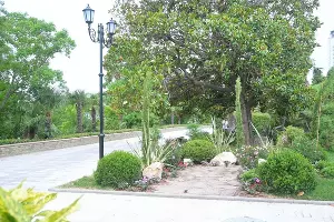 Участок Приморской набережной в Сочи &copy;&nbsp;Скриншот фото из телеграм-канала &laquo;Сочи Официальный&raquo;