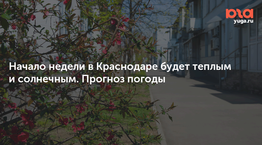 погода. погода ростов. прогноз погоды на месяц. погода на завтра в краснодаре. краснодар погода сегодня сейчас.