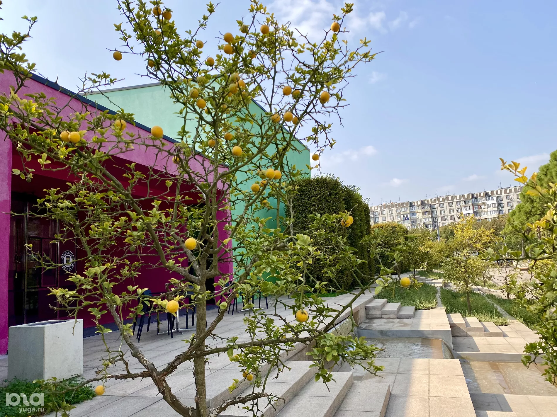  &copy;&nbsp;Фото Влады Мандрыка, Юга.ру