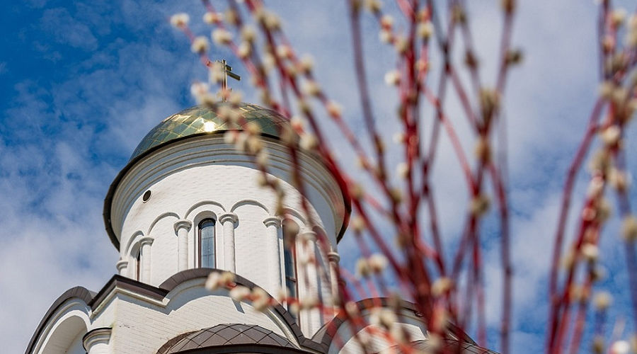  © Фото пресс-службы администрации Краснодарского края