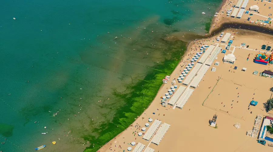  &copy;&nbsp;Фото Антона Быкова, Юга.ру