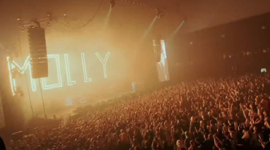 пошла молли концерты 2024