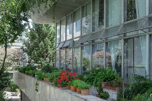 Веранда Музея Дерева Дружбы &copy;&nbsp;Фото Юли Шафаростовой, Юга.ру