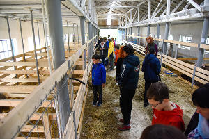 Проект «Верь в себя» по профориентации подростков © Фото Елены Синеок, Юга.ру