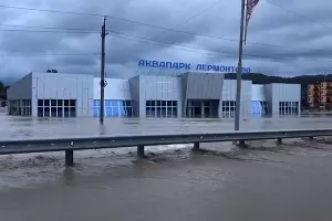  &copy;&nbsp;Фото Антона Быкова