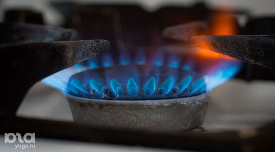  © Фото Елены Синеок, Юга.ру