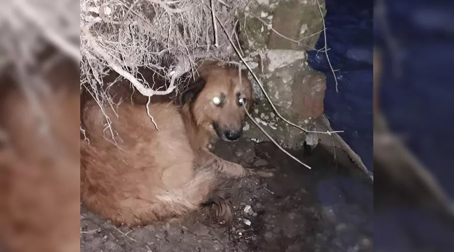  &copy;&nbsp;Фото из инстаграма instagram.com/alekseioderov