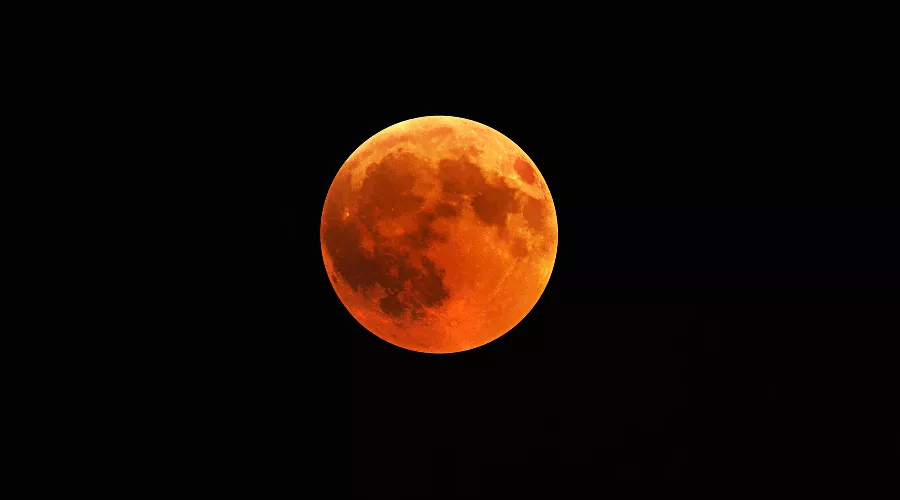  &copy;&nbsp;фото wirestock, сайт freepik.com