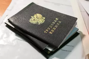 Трудовая книжка &copy;&nbsp;Фото Елены Синеок, Юга.ру