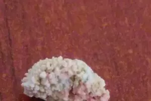  &copy;&nbsp;Фото пресс-службы минздрава Краснодарского края