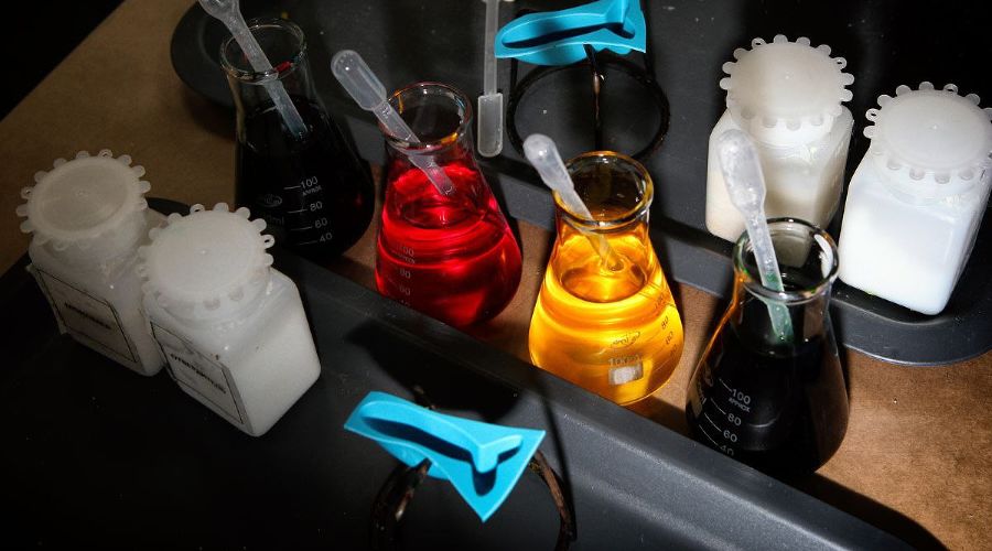  © скриншот фото из телеграм-канала Sciencely