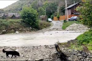  © Скриншот из телеграм-канала «Утренний Юг» https://t.me/UtrennijYug/40338?single