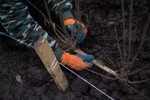  &copy;&nbsp;Фото пресс-службы администрации Краснодара
