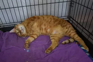  &copy;&nbsp;Елена Синеок, ЮГА.ру