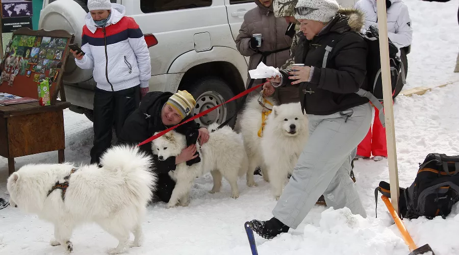  &copy;&nbsp;Фото Влада Александрова, Юга.ру