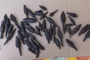 Находки 2017 года в полевой реставрационной мастерской Южно-Крымской археологической экспедиции Государственного Эрмитажа &copy;&nbsp;Фото пресс-службы музея-заповедника &laquo;Херсонес Таврический&raquo;