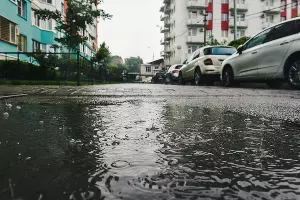  &copy;&nbsp;Фото Елены Синеок, Юга.ру