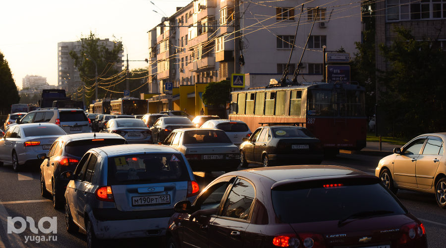  © Фото Елены Синеок, Юга.ру