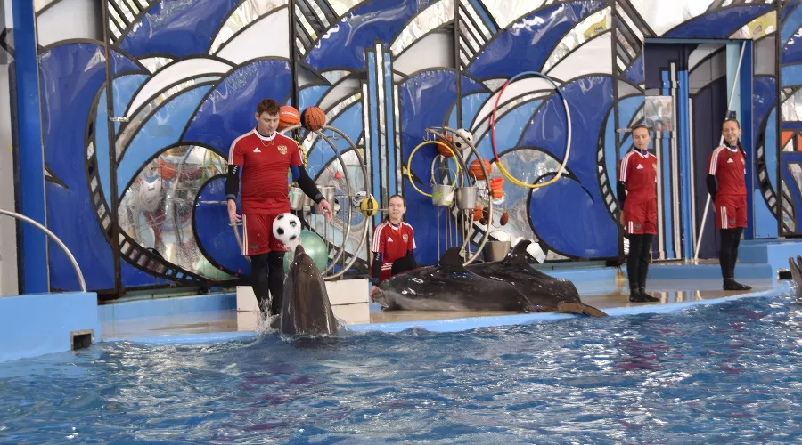  &copy;&nbsp;Фото пресс-службы администрации Сочи