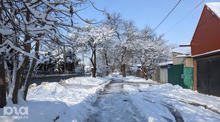  &copy;&nbsp;Фото Александры Прохоренковой-Аксеновой, Юга.ру