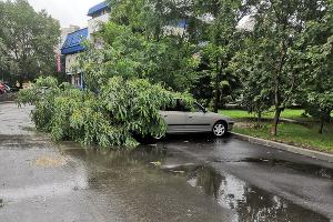  © Фото Евгения Дульского, Юга.ру