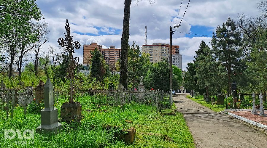 Всесвятское кладбище, 2023 год © Фото Иолины Грибковой, Юга.ру