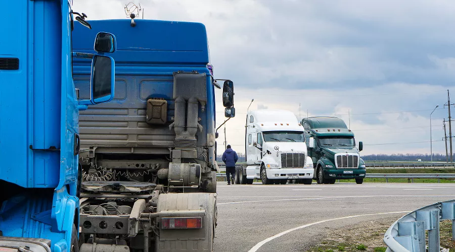  &copy;&nbsp;Фото Андрея Майорова, Юга.ру