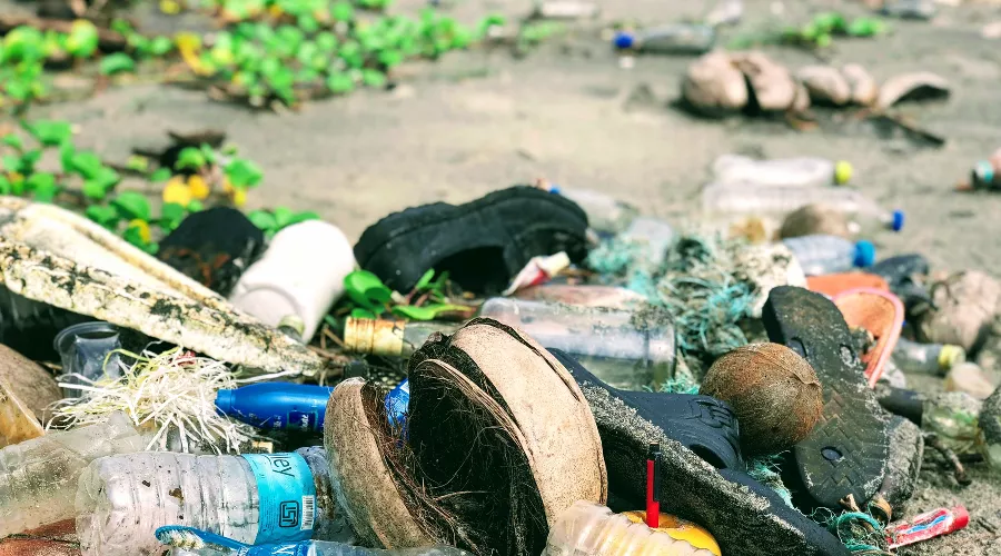  &copy;&nbsp;Фото John Cameron с сайта Unsplash.com