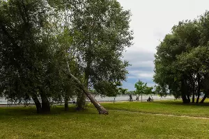 Рождественский парк &copy;&nbsp;Фото Елены Синеок, Юга.ру