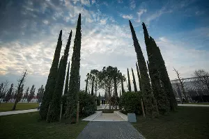 Парк «Краснодар» &copy;&nbsp;Фото Елены Синеок, Юга.ру