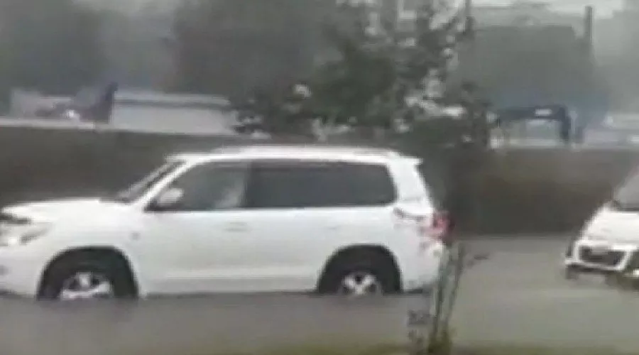  &copy;&nbsp;Скриншот видео из телеграм-канала &laquo;Типичный Краснодар&raquo;, t.me/krd_tipich_ru