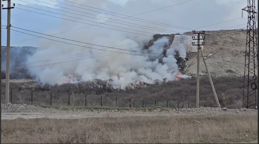  &copy;&nbsp;Скриншот из телеграм-канала &laquo;Новороссийск НЕ Новости&raquo; https://t.me/nvrsk_new/57819