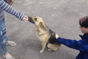  &copy;&nbsp;Кадр из видео канала Clean Futures Fund на youtube.com