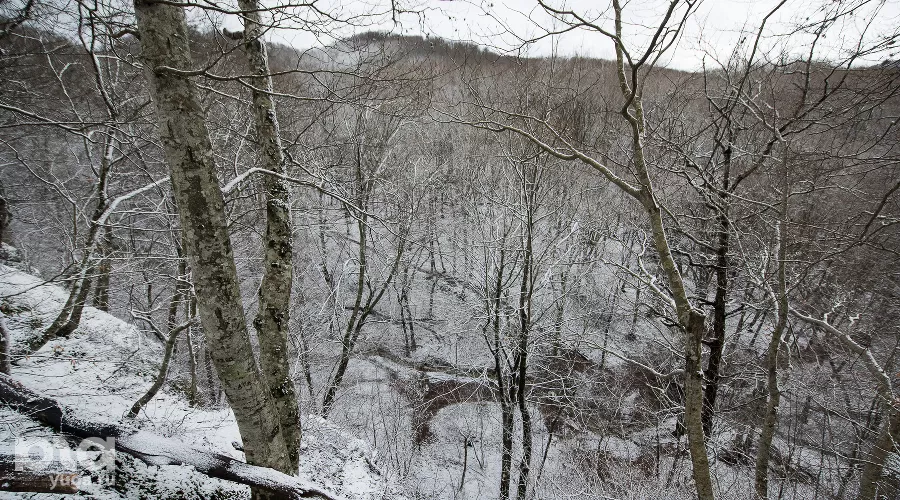  &copy;&nbsp;Фото Елены Синеок, Юга.ру