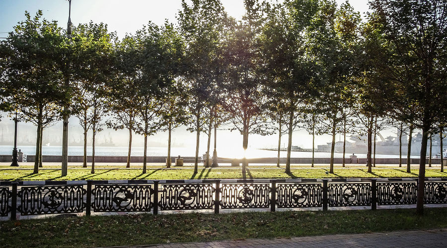  &copy;&nbsp;Фото Elena G, unsplash.com