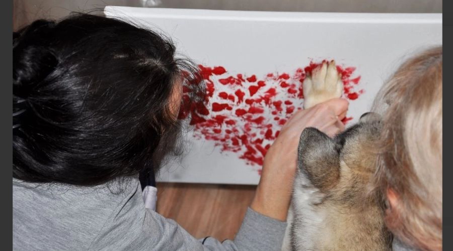  © Скриншот фото из телеграм-канала «Наша газета», https://t.me/ng_nov