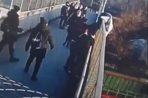  &copy;&nbsp;Скриншот видео из телеграм-канала &laquo;Типичный Краснодар&raquo;, t.me/krd_tipich_ru