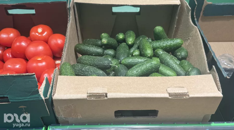  &copy;&nbsp;Фото Марии Журавлевой, Юга.ру