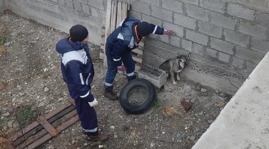  &copy;&nbsp;Фото из инстаграма ГКУ &laquo;Кубань-СПАС&raquo;, instagram.com/kuban_spas/