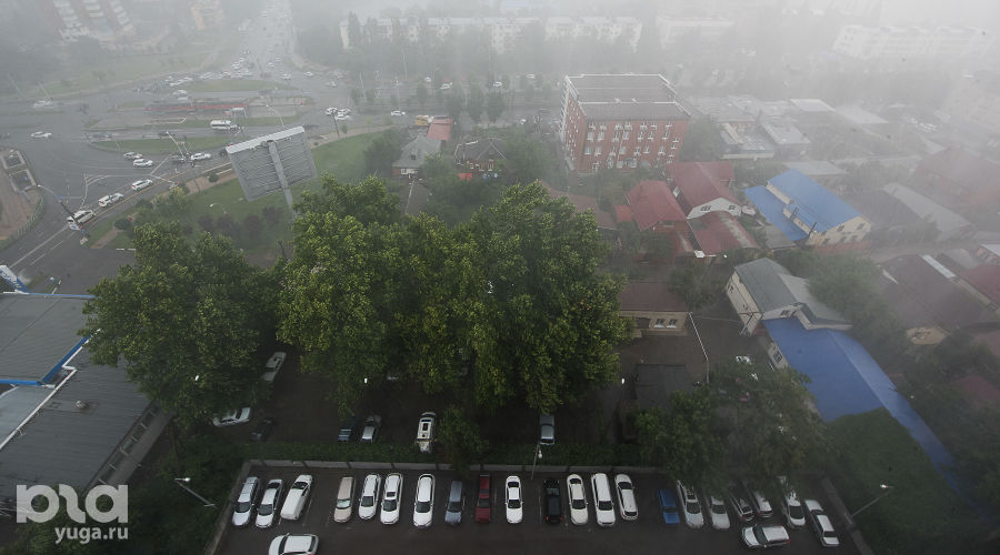  © Фото Елены Синеок, Юга.ру