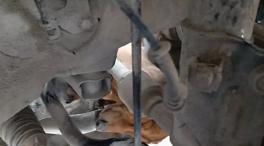  &copy;&nbsp;Фото пресс-службы &laquo;Кубань-СПАС&raquo;