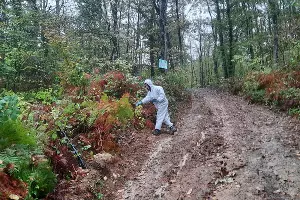  &copy;&nbsp;Фото предоставлено Сочинским нацпарком