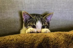  &copy;&nbsp;Фото wirestock, freepik.com